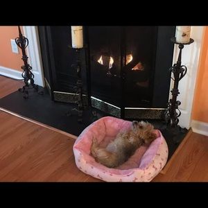 Meet your Posher, Alan